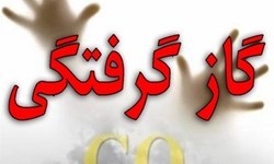 قاتل خاموش در ایلام قربانی گرفت
