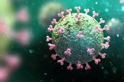 تعداد مبتلایان به ویروس جهش یافته کرونا در دهلران به ۱۴ نفر رسید