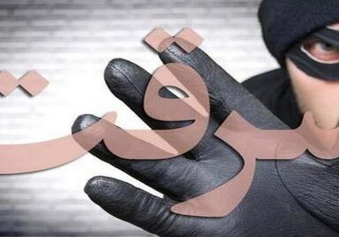 کاهش ۳ درصدی وقوع انواع سرقت در ایلام