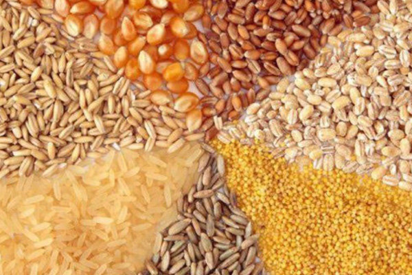 کشف ۱۲ تن نهاده دامی قاچاق در ایلام