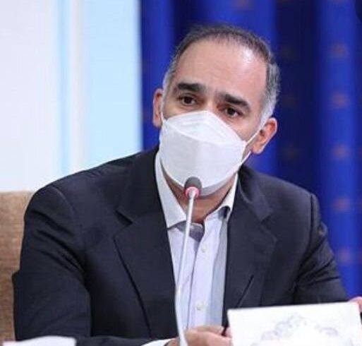 سطح کشت قراردادی کلزا در استان ایلام به ۱۹۰۰ هکتار رسید