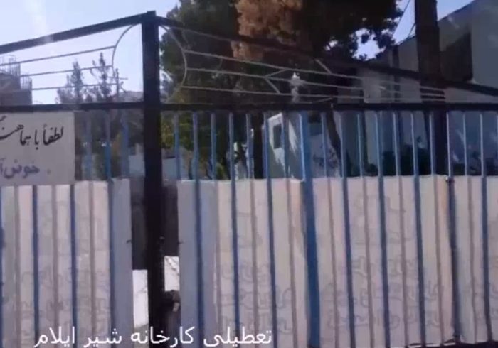 تعطیلی تنها کارخانه شیرایلام/دستگاه اصلی کارخانه از استان خارج شد