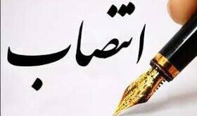 سرپرست دفتر هماهنگی امور اقتصادی استانداری ایلام منصوب شد