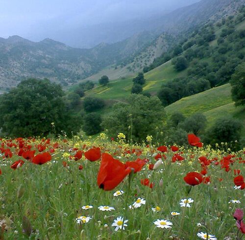 امروز بیشتر هوای این میزبان سخاوتمند را داشته باشیم