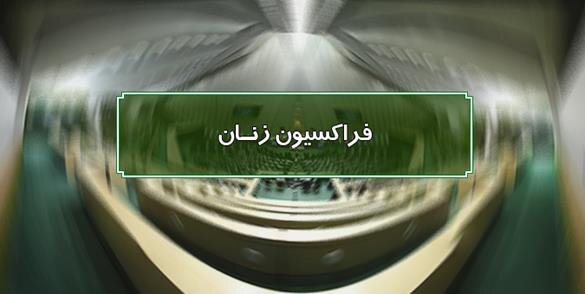 اعضای فراکسیون زنان و خانواده به ایلام می‌آیند