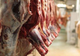 سهم استان ایلام در تولید قراردادی گوشت قرمز اعلام شد سهم استان ایلام در تولید قراردادی گوشت قرمز اعلام شد