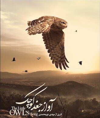 «آواز جغد کوچک» در بخش مسابقه محبوب‌ترین جشنواره حیات وحش اروپا شرکت کرد