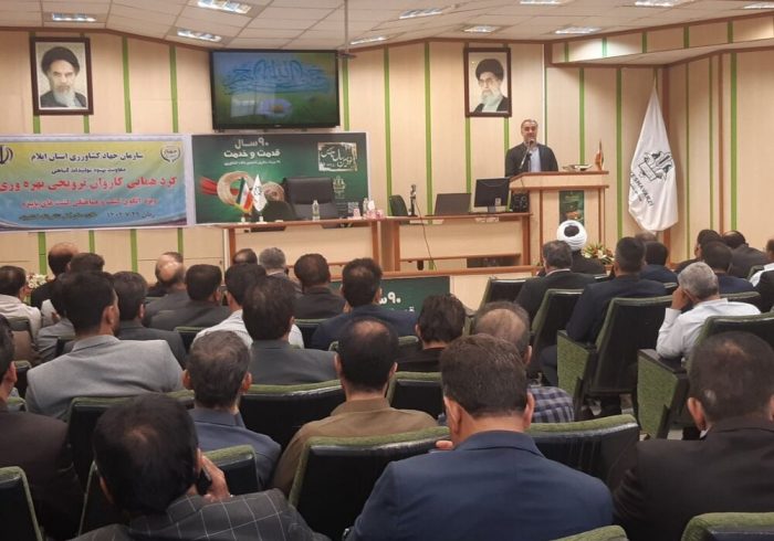 سطح تحت پوشش طرح ملی جهش تولید در دیم‌زارهای استان ایلام افزایش می‌یابد
