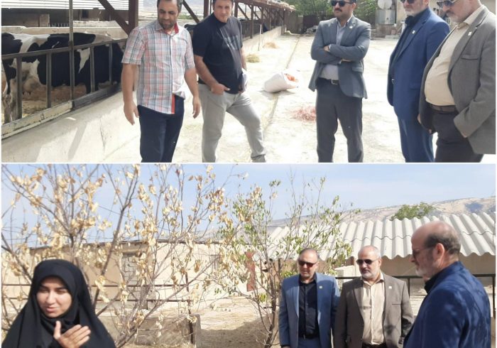 ضرورت تسریع در روند راه‌اندازی مرکز اصلاح نژاد دام جهاددانشگاهی ایلام