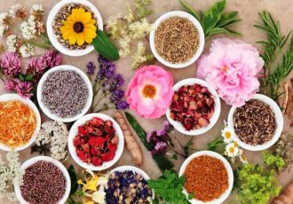 سند ساماندهی گیاهان دارویی در ایلام تدوین می‌شود