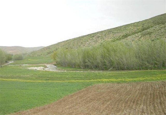 طرح جهش تولید در دیم‌زارها باید الگوی همه طرح‌های تولیدی باشد