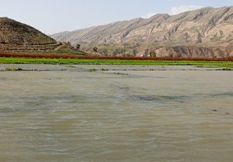 غرق شدن باغات انار «عرب رودبار»