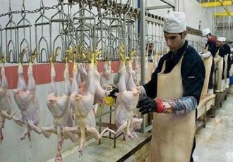سرمایه‌گذاری در کشتارگاه‌های ایلام به یک روند مطمئن تبدیل شده است