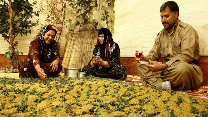 ترخینه ایلامی