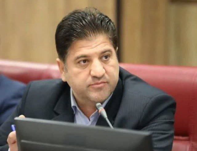 مدیرکل میراث‌فرهنگی،صنایع دستی و‌کردگشری استان ایلام