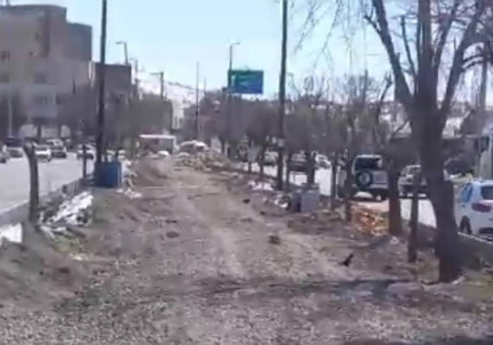 کاشت ۳۰ اصله درخت نخل مثمر در بلوار ورودی شهر مهران