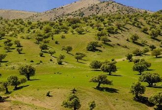 فعالیت نیروهای حفاظتی منابع طبیعی ایلام در تعطیلات نوروز