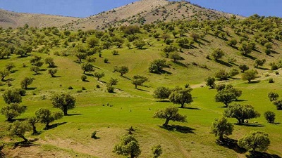 فعالیت نیروهای حفاظتی منابع طبیعی ایلام در تعطیلات نوروز