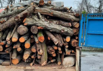 کشف یک تن چوب جنگلی قاچاق در دره‌شهر
