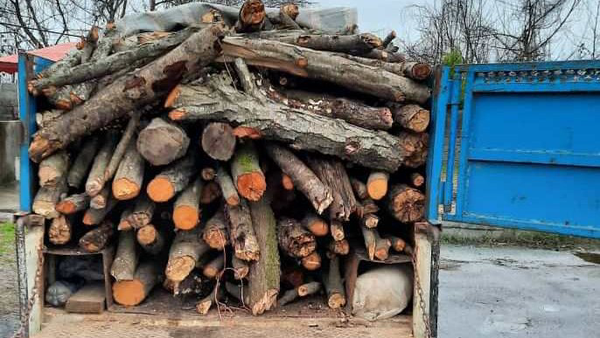 کشف یک تن چوب جنگلی قاچاق در دره‌شهر