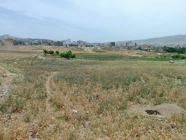 «باخه‌نام»،یک محوطه باستانی در ایلام
