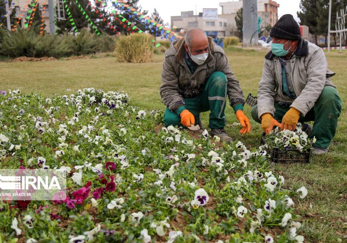 سطح شهر ایلام با کاشت گلهای فصلی بهاری می ماند