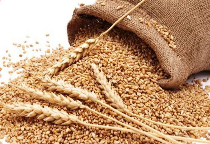 ۲میلیارد ریال زکات در دره شهر جمع آوری شد