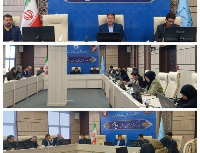 ضرورت استفاده از ظرفیت سازمان‌های مردم‌نهاد در حل مشکلات اجتماعی ایلام