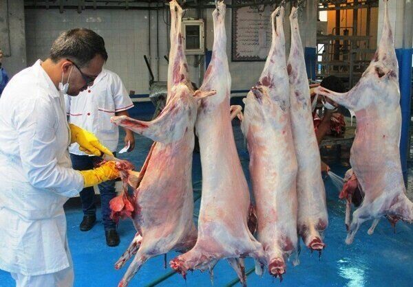 تشدید نظارت بر اماکن عرضه فرآورده های خام دامی در ایلام