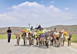۲۴۰ میلیارد تومان پروژه برای عشایر ایلام اجرا می شود