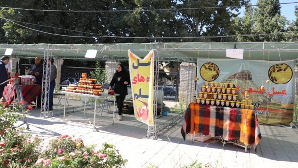 ارزش اقتصادی ۵۴ میلیارد تومانی تولید عسل عشایر ایلام ارزش اقتصادی ۵۴ میلیارد تومانی تولید عسل عشایر ایلام