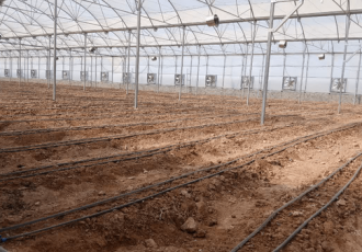 بهرهبرداری از گلخانه ۷ هزار مترمربعی تولید صیفیجات در دشت عباس بهرهبرداری از گلخانه ۷ هزار مترمربعی تولید صیفیجات در دشت عباس