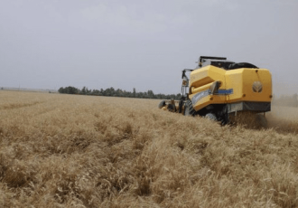 تولید سالانه ۵۰۰ هزار تن محصولات کشاورزی در دهلران تولید سالانه ۵۰۰ هزار تن محصولات کشاورزی در دهلران