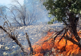 مهار آتش‌سوزی گسترده در ارتفاعات طاق زین شهرستان بدره