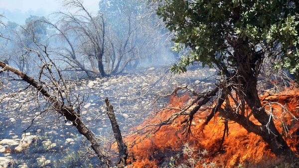 مهار آتشسوزی گسترده در ارتفاعات طاق زین شهرستان بدره مهار آتشسوزی گسترده در ارتفاعات طاق زین شهرستان بدره