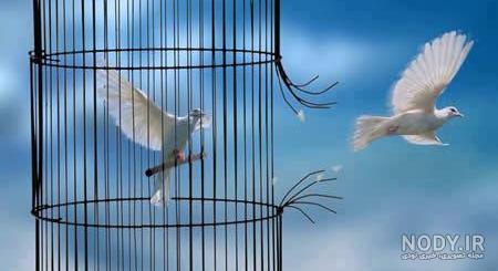 وصیت مادر ایلامی زمینه آزادی ۵ زندانی را فراهم کرد وصیت مادر ایلامی زمینه آزادی ۵ زندانی را فراهم کرد