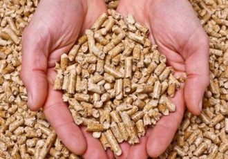 روزانه ۳۰ تن خوراک دام در بین عشایر استان ایلام توزیع می شود