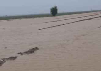۴۵۰۰ هکتار از اراضی کشاورزی دهلران در سیلاب اخیر آسیب دید