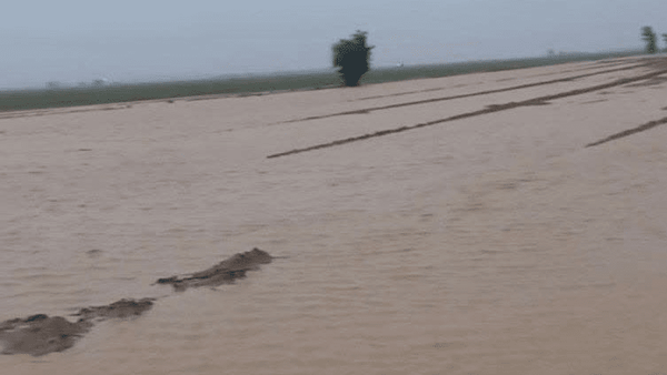 ۴۵۰۰ هکتار از اراضی کشاورزی دهلران در سیلاب اخیر آسیب دید ۴۵۰۰ هکتار از اراضی کشاورزی دهلران در سیلاب اخیر آسیب دید