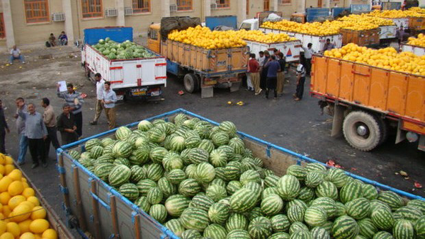صادرات بیش از ۶۱ هزار تن ترهبار از مرز مهران ثبت شد صادرات بیش از ۶۱ هزار تن ترهبار از مرز مهران ثبت شد