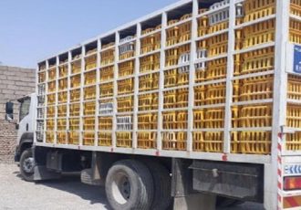 جریمه ۴۴ میلیارد ریالی یک واحد مرغداری متخلف در استان جریمه ۴۴ میلیارد ریالی یک واحد مرغداری متخلف در استان