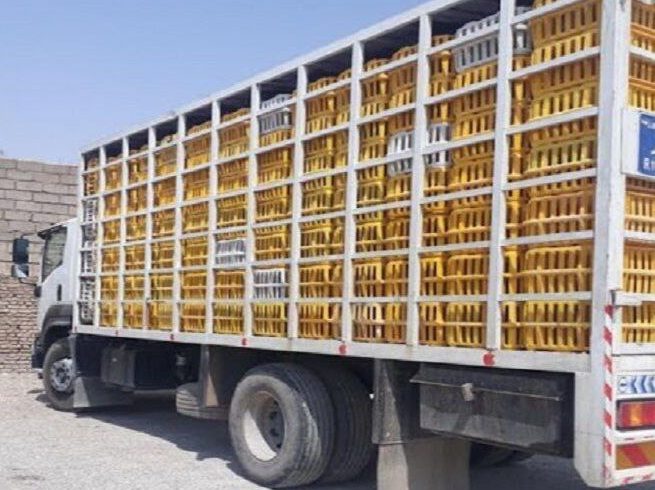 جریمه ۴۴ میلیارد ریالی یک واحد مرغداری متخلف در استان